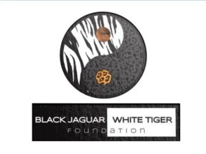 black-jaguar-white-tiger-1-638