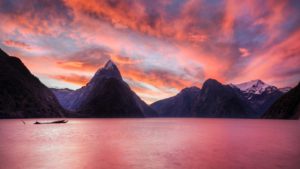 new-zealand