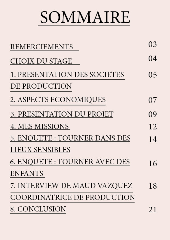 rapport-de-stage-jessica-mohammedi-efj22