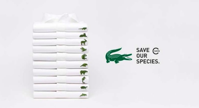 lacoste-change-son-logo-en-l-honneur-des-esp-ces-en-voie-d-extinction-649